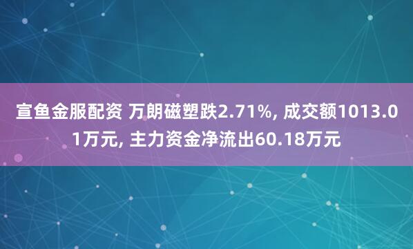 宣鱼金服配资 万朗磁塑跌2.71%, 成交额1013.01万元, 主力资金净流出60.18万元