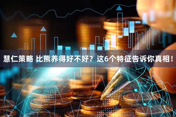 慧仁策略 比熊养得好不好？这6个特征告诉你真相！